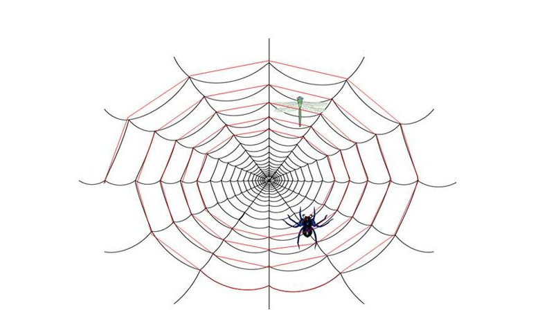 如何让百度蜘蛛更加亲睐您的网站